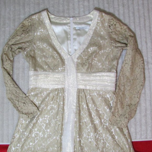 Laundry by Design Gold Lace Shimmer Overlay Mini Dress - Picture 7 of 13